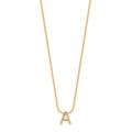 Cadena Inicial