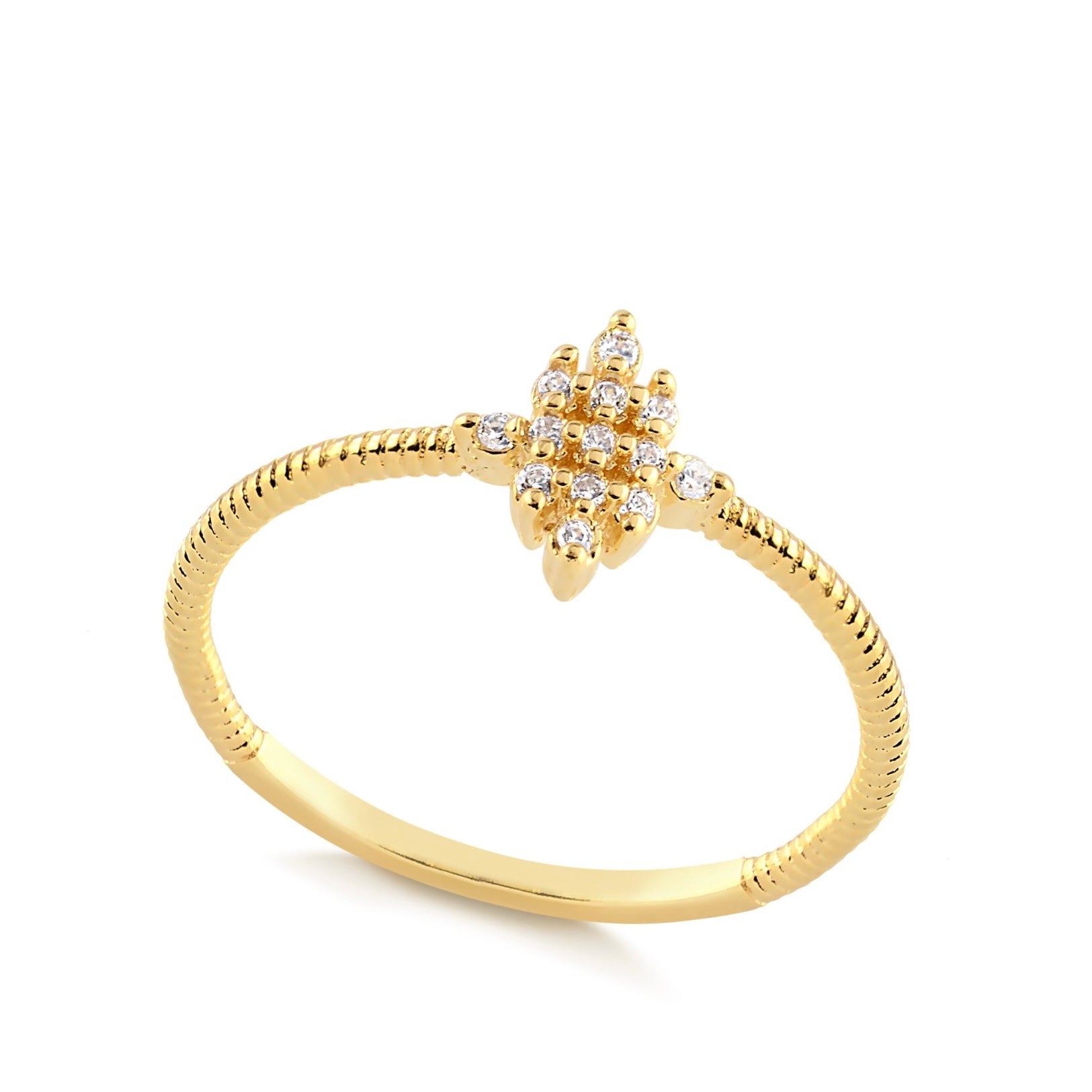 ANILLO