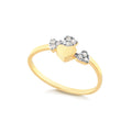 Anillo