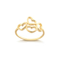 Anillo